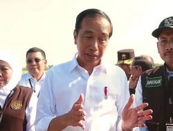 Presiden Jokowi Minta Harga Gabah Segera Ditentukan