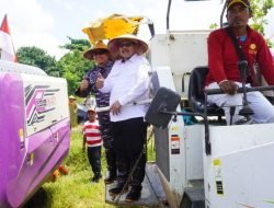 Panen Raya di Desa Perreng, Upaya Bangkalan Jadi Penunjang Pangan Nasional