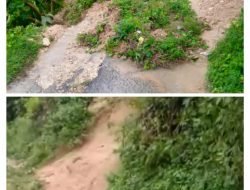 Hujan Lebat Membuat Tebing Longsor Di Desa Daleman Kec Galis