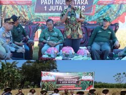 Panen Perdana Padi Nusantara 1 juta Hektar, Pj. Bupati Takalar Harap Kualitas Benih dan Pola Tanam diperhatikan