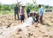 Sukseskan Program Pompanisasi Kementan, Babinsa Kodim Bojonegoro dikerahkan Dampingi Petani