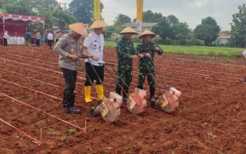 Dukung Ketahanan Pangan Danlanal Batuporon Beserta Jajaran Forkopimda Bangkalan Laksanakan Penanaman Jagung Secara Virtual 