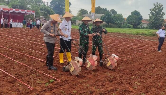 Dukung Ketahanan Pangan Danlanal Batuporon Beserta Jajaran Forkopimda Bangkalan Laksanakan Penanaman Jagung Secara Virtual 