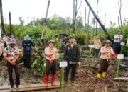 Kolaborasi Kwarda Kaltara – Pengakap Malaysia Cawangan Sabah, Tanam 200 Pohon Mangrove dan Pohon Produktif, Dukung Pelestarian Lingkungan