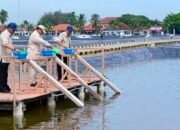 Presiden Prabowo Subianto Tinjau Kawasan BLUPPB Karawang, Dorong Swasembada Pangan dan Ekonomi Biru